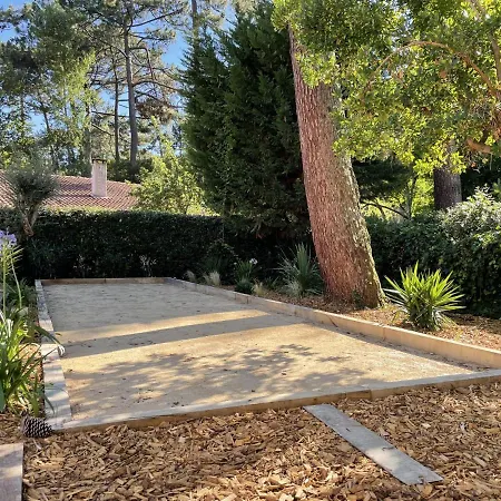 Somptueuse Sous Les Pins * Lège-Cap-Ferret