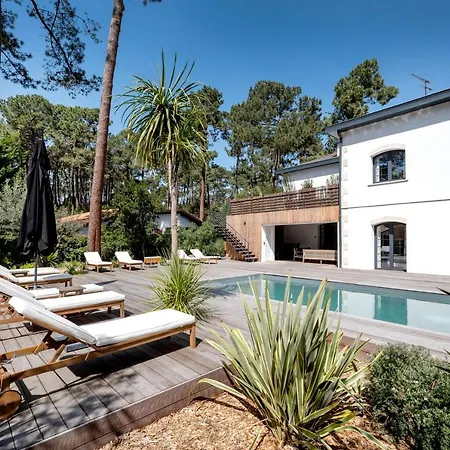 Somptueuse Sous Les Pins