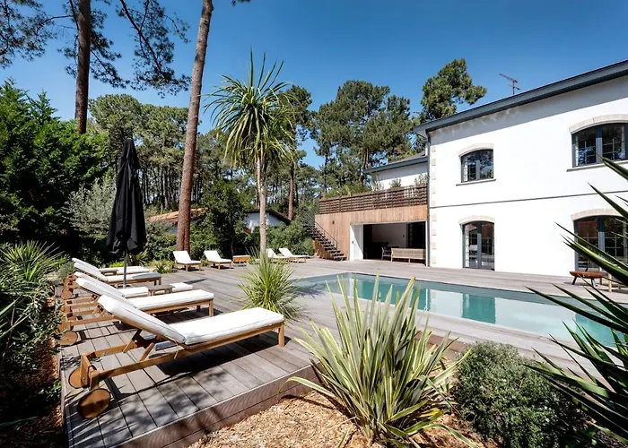 Somptueuse Sous Les Pins