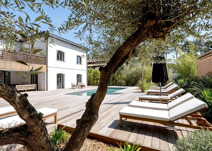 Vila Somptueuse Sous Les Pins *